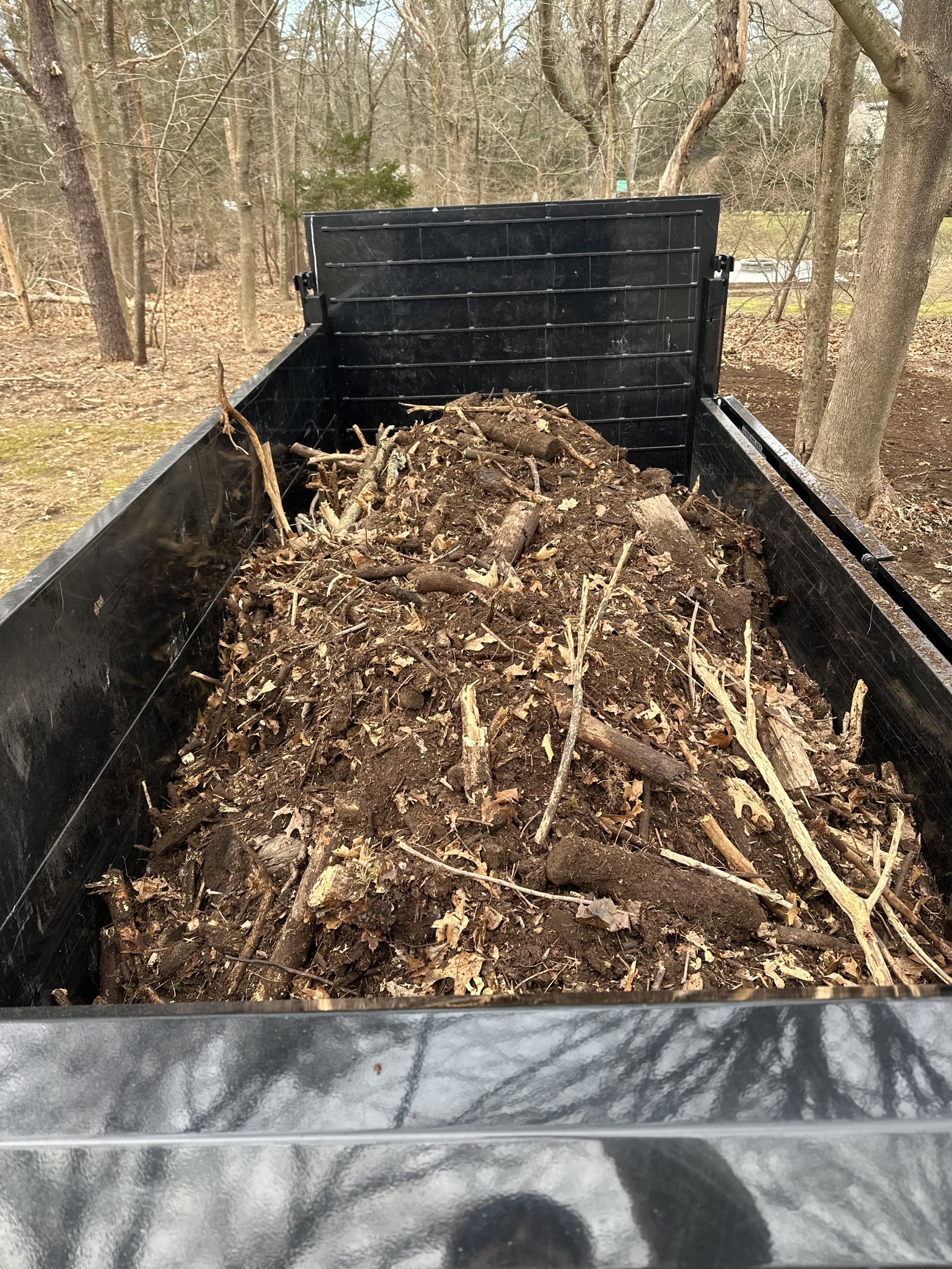 Leaf Cleanup and Yard Debris Cleanup in Cranston RI